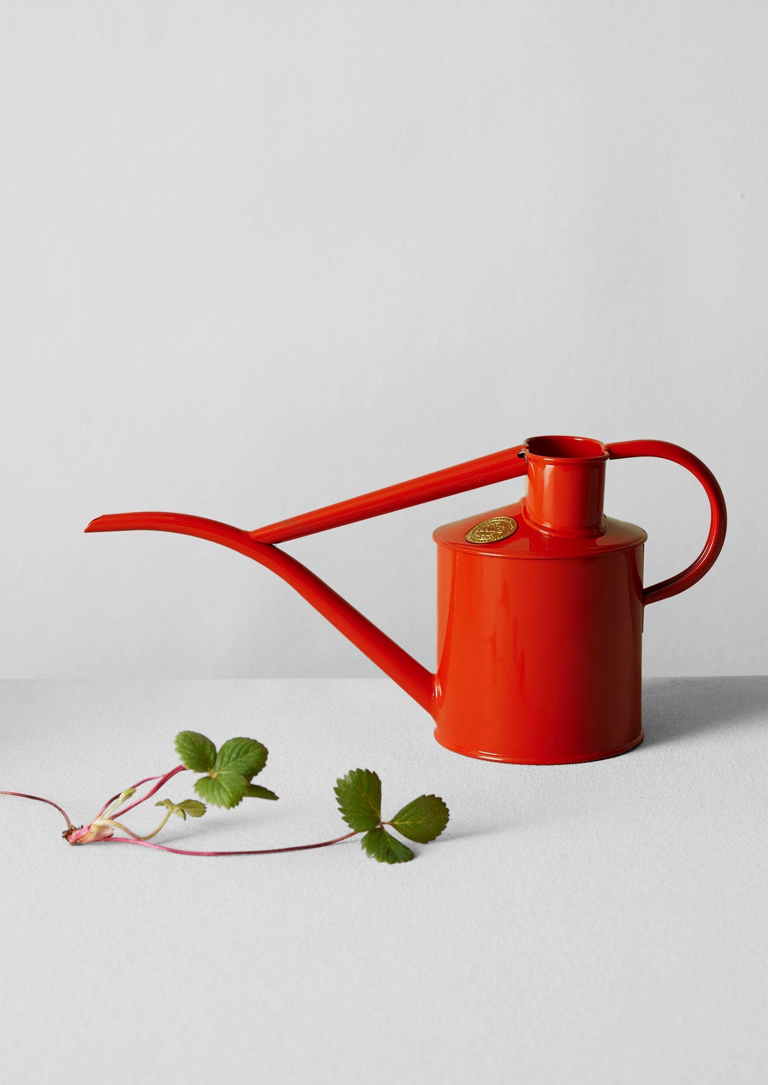 Haws Fazeley Flow Indoor Watering Can