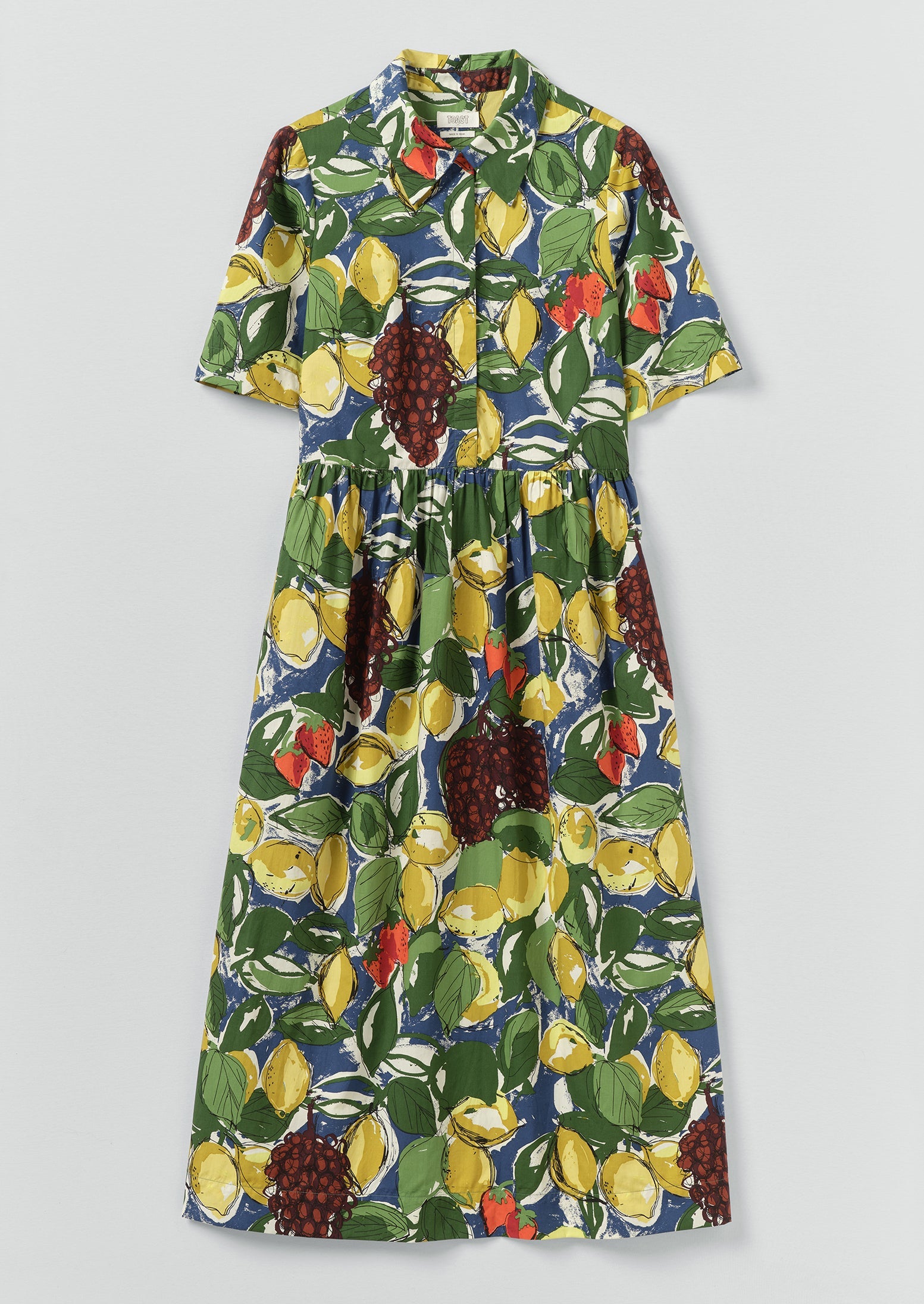 Women's Selma Sketched Fruit Print Shirt Dress | TOAST