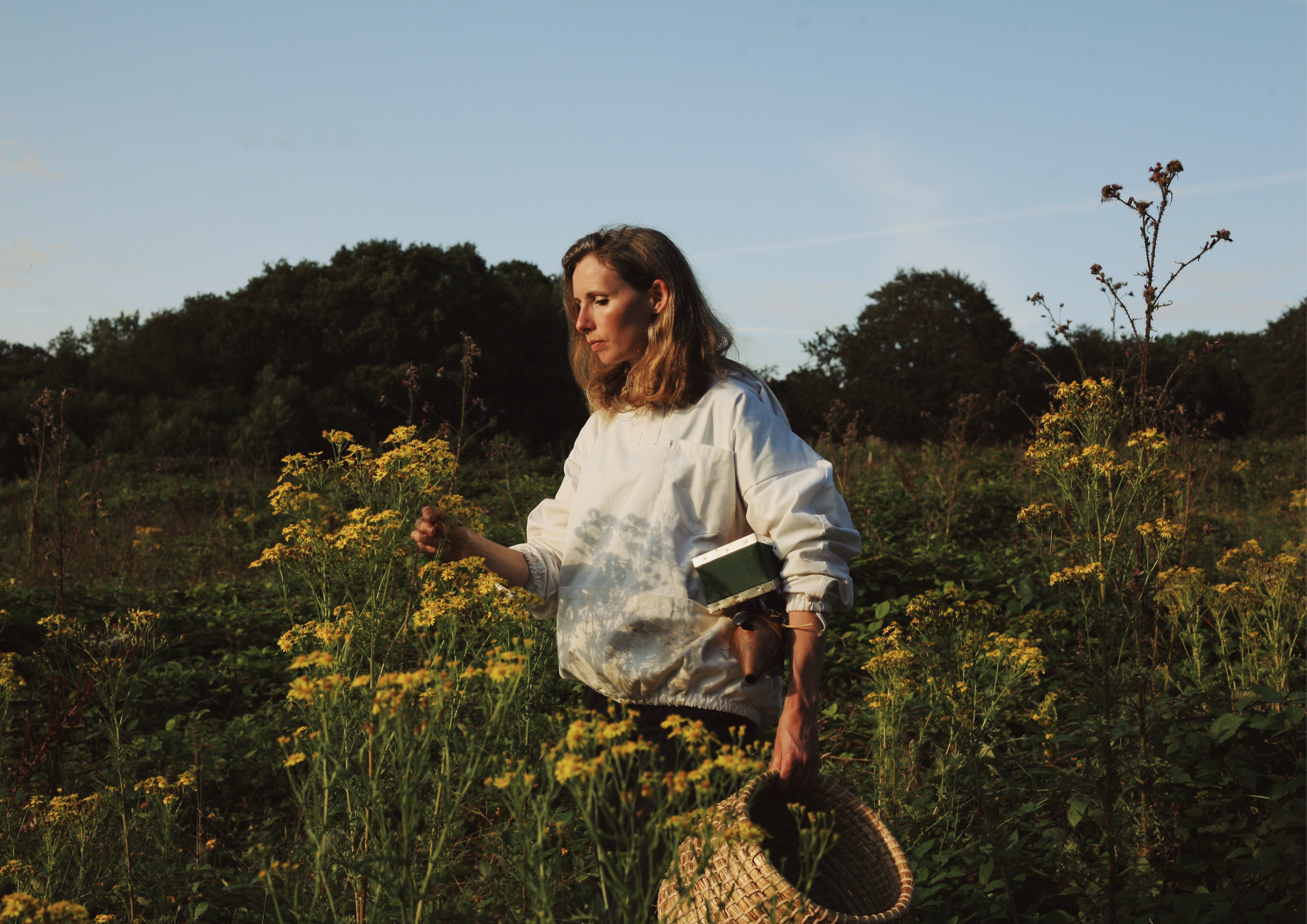 The Rhythms of Beekeeping with Lia Markwick | TOAST Magazine