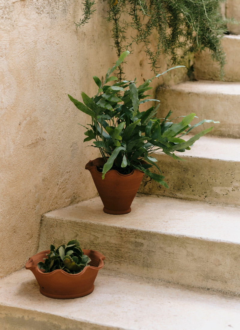 willow plant pot Willow Pottery Terracotta Planter