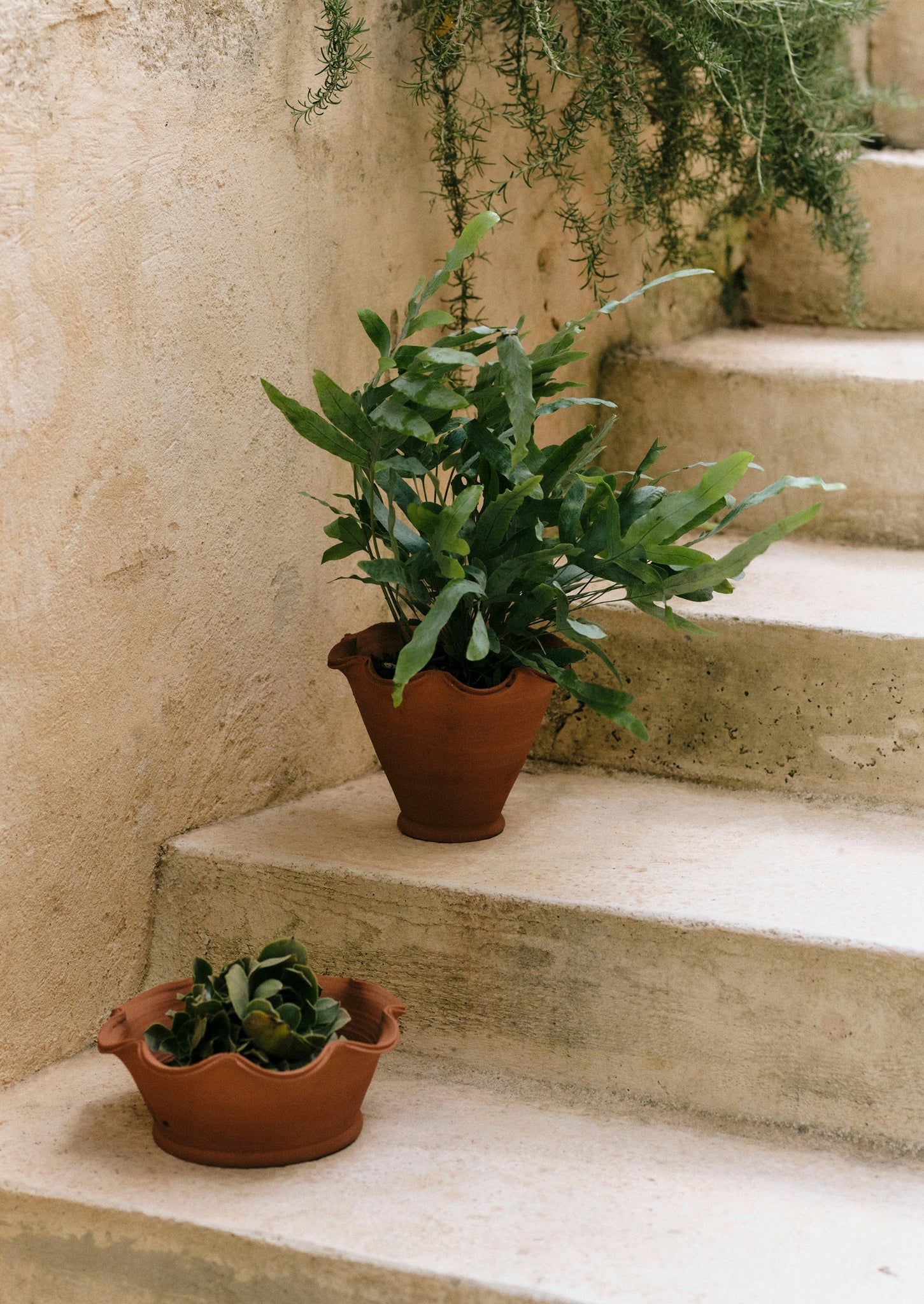 Willow Pottery Terracotta Planter | Terracotta