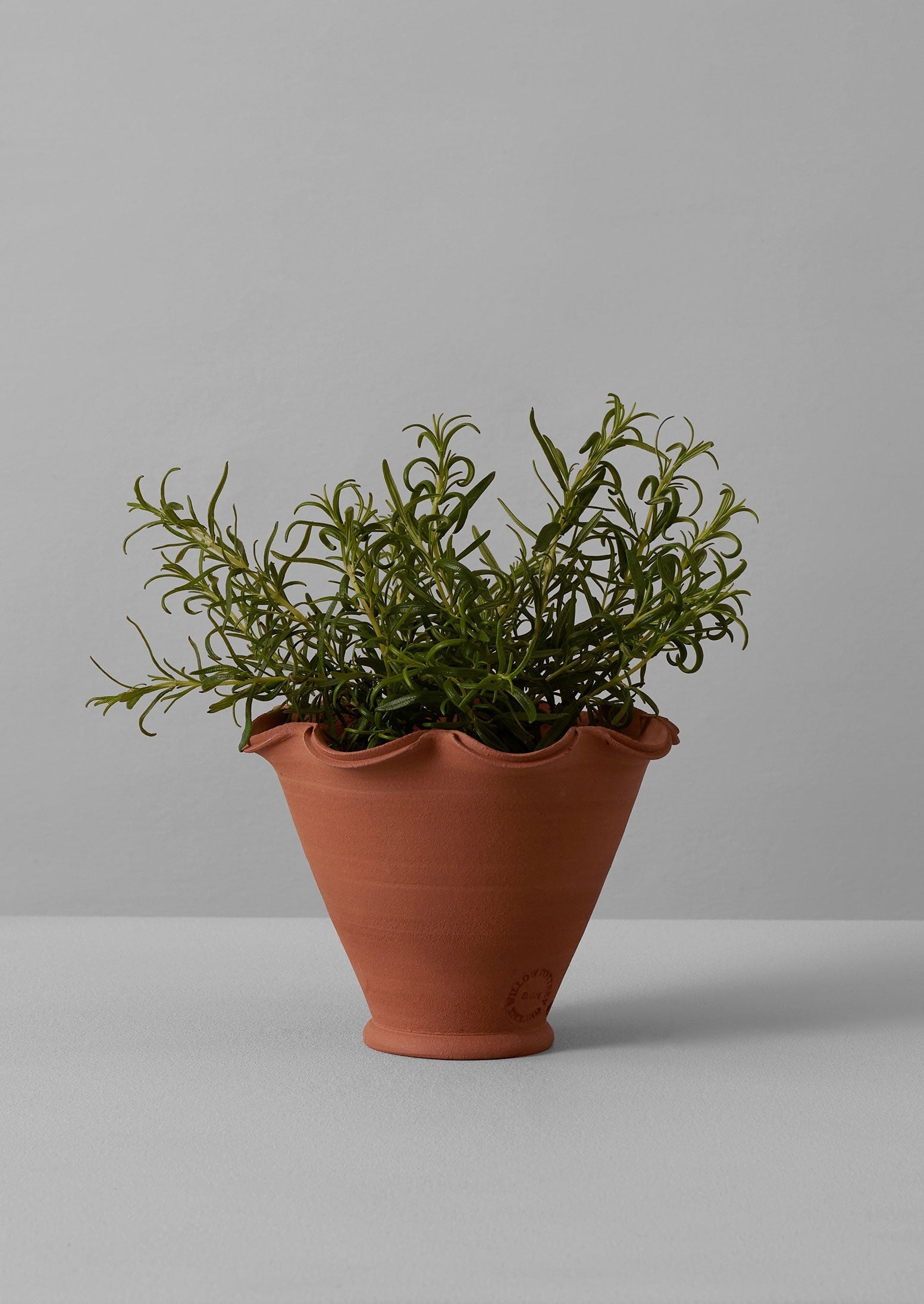 イギリスヴィンテージWillow Potteryテラコッタ Willow Pottery Terracotta Planter | Terracotta | TOAST