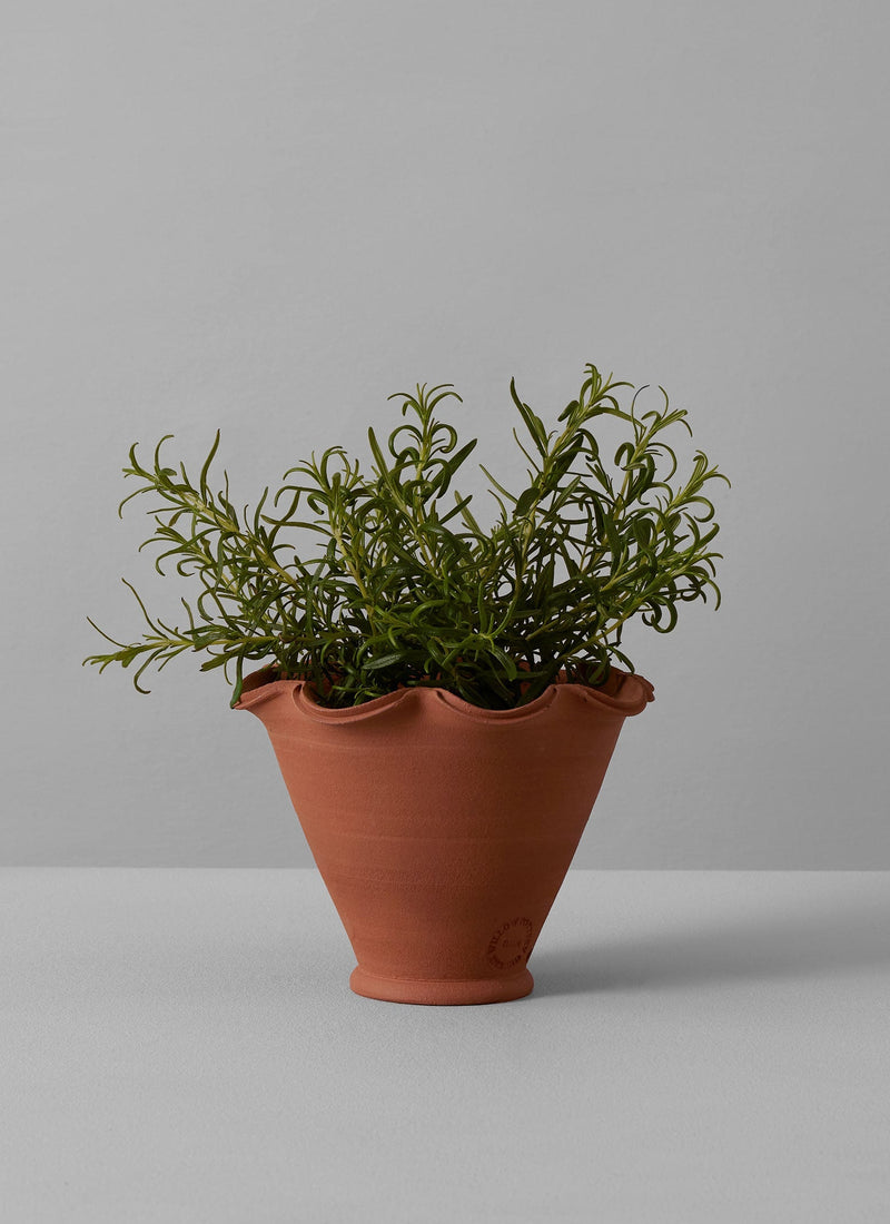 terracotta pot for plants Willow Pottery Terracotta Planter | Terracotta