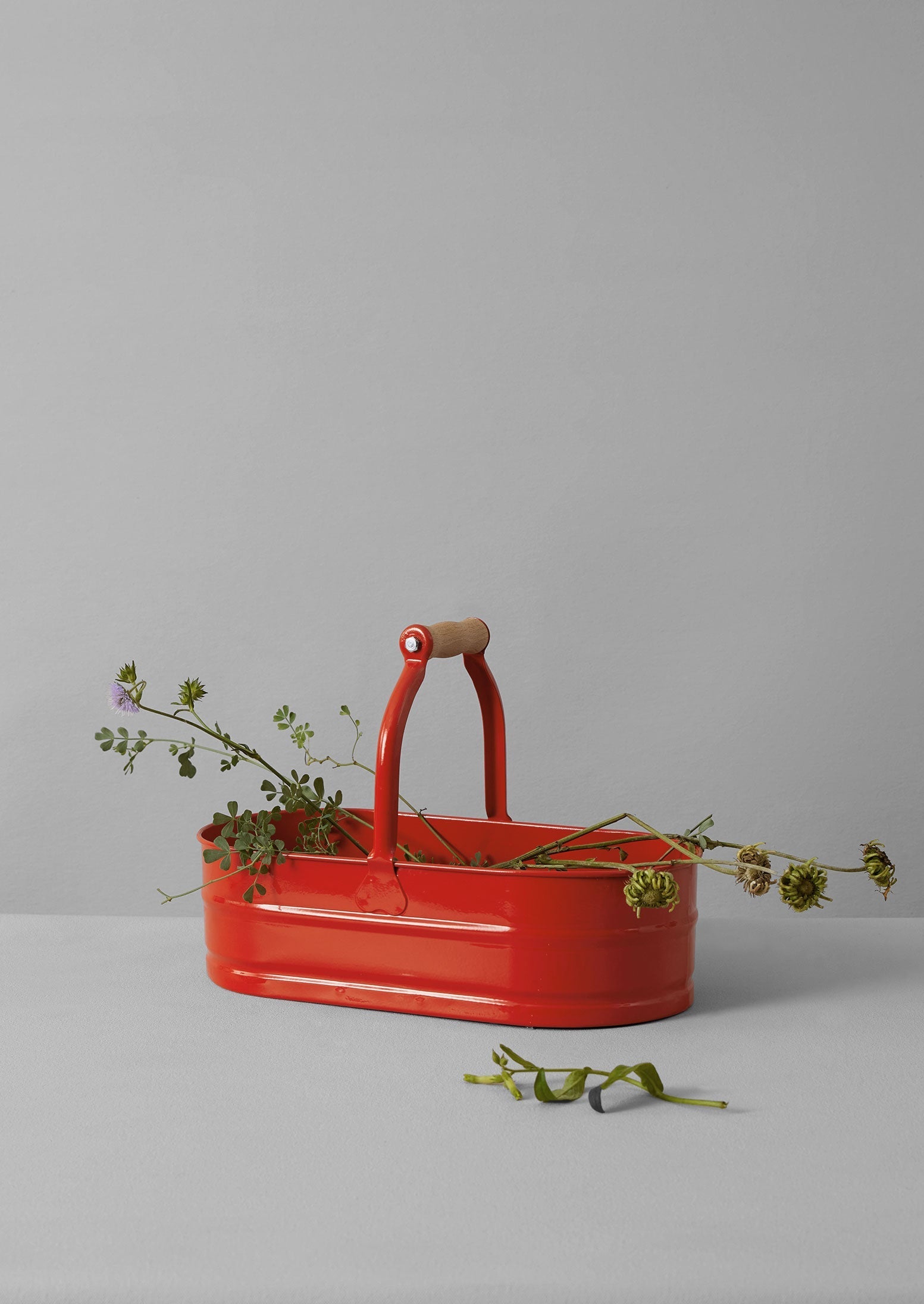 Garden Utility Bucket | Nasturtium