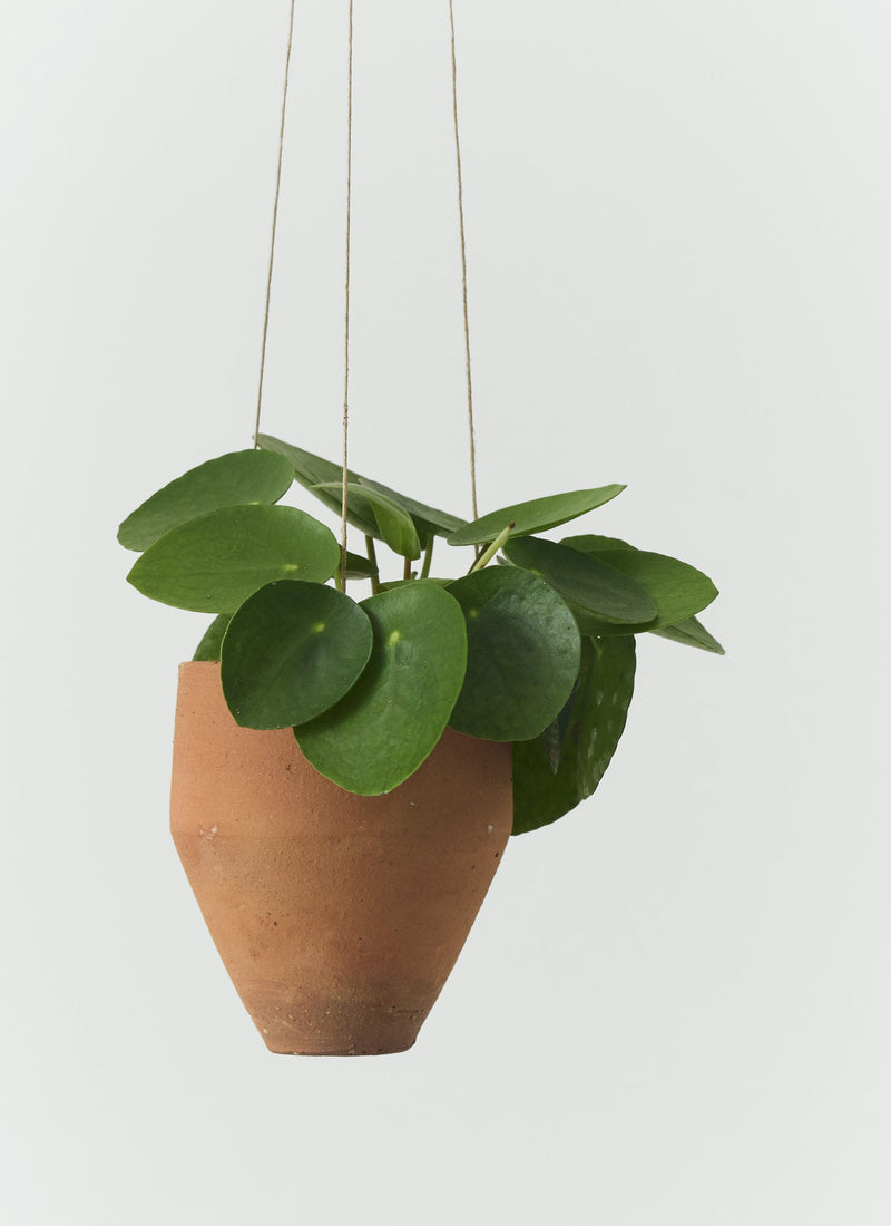 hanging terracotta planter Soller Terracotta Hanging Planter Set | Terracotta
