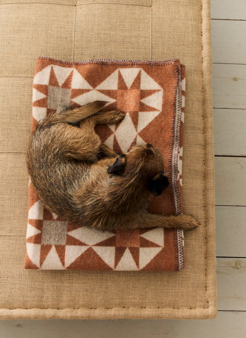 Jacquard Star Wool Blanket | Rust/Soft Peach