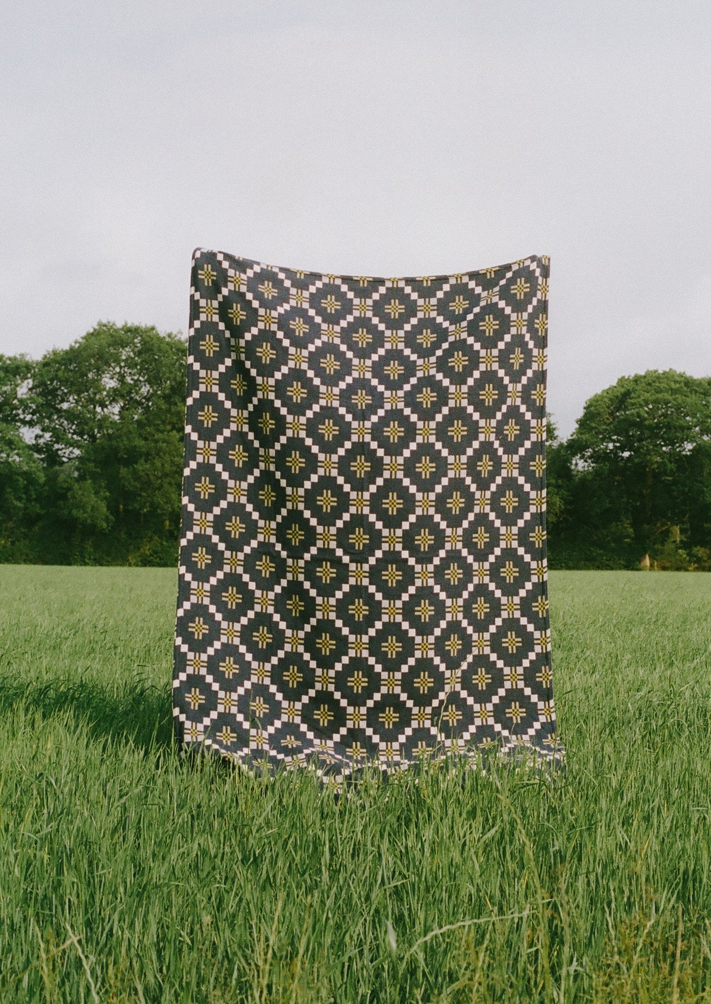 Melin Tregwynt Welsh Blanket | Midnight/Citrus