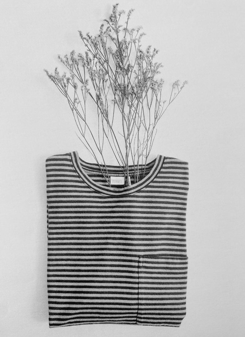 Bold Stripe Cotton Short Sleeve Tee | Azure Blue/Tawny Brown