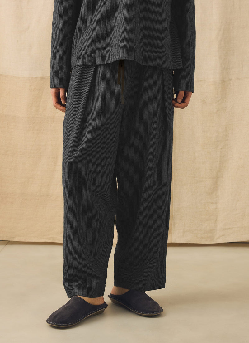 Fine Stripe Crinkle Cotton Pleated Pants | Earth/Ecru