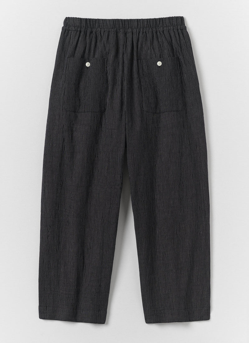 Fine Stripe Crinkle Cotton Pleated Pants | Earth/Ecru