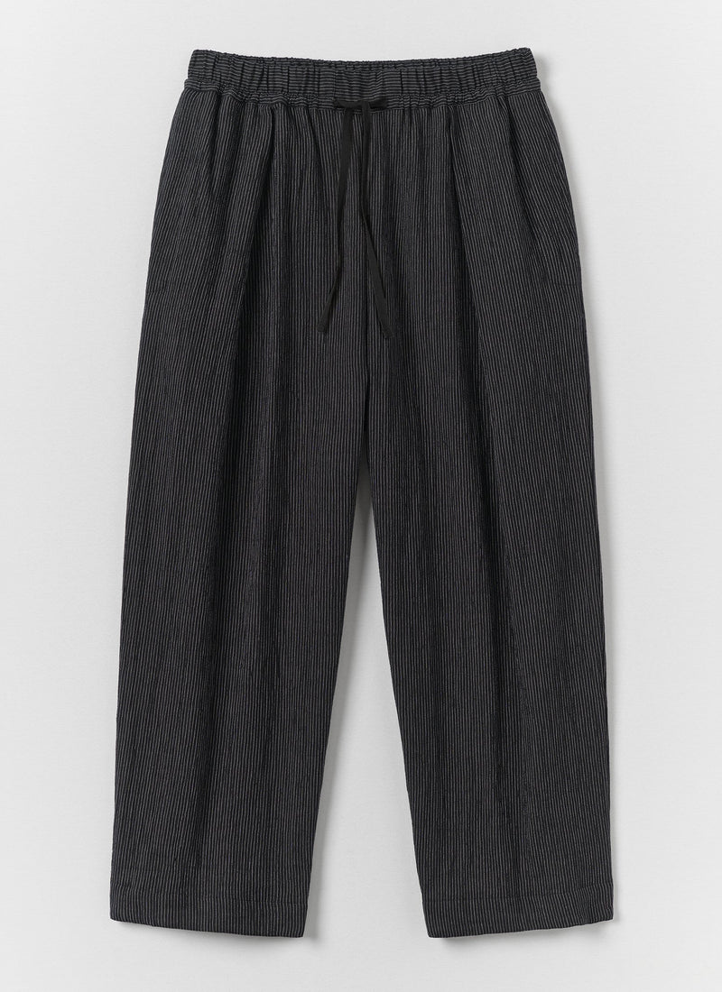 Fine Stripe Crinkle Cotton Pleated Pants | Earth/Ecru