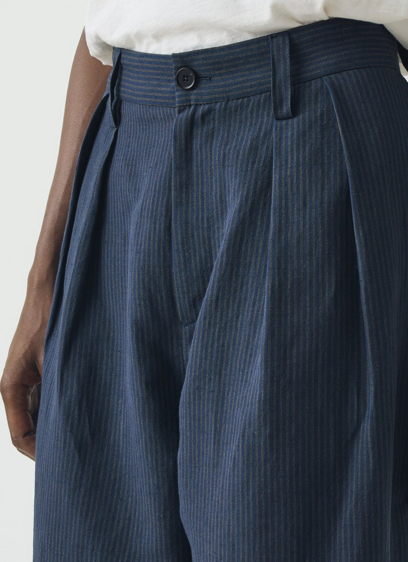 Caspar Stripe Pleat Pants | Navy/Fawn