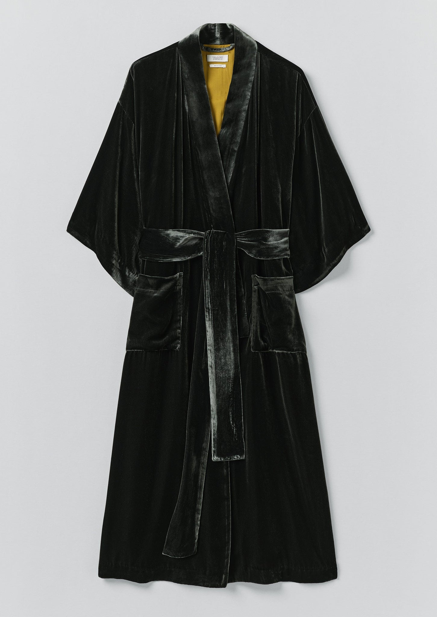 Silk Velvet Gown | Jackdaw