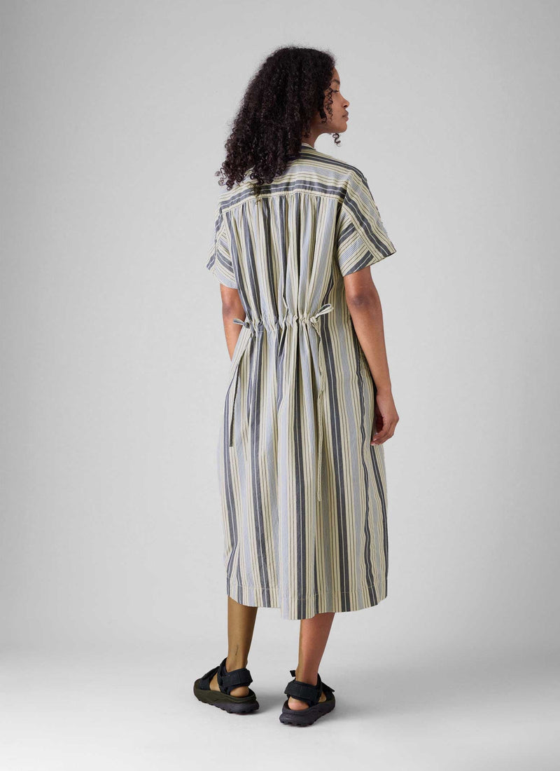 cotton shirt waist dress Charlie Shirtwaist Dress in Gingham