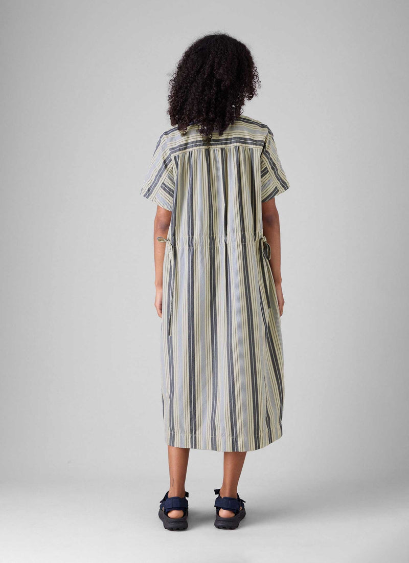 cotton shirt waist dress Charlie Shirtwaist Dress in Tobacco/Ivory Gingham Crinkle Cotton