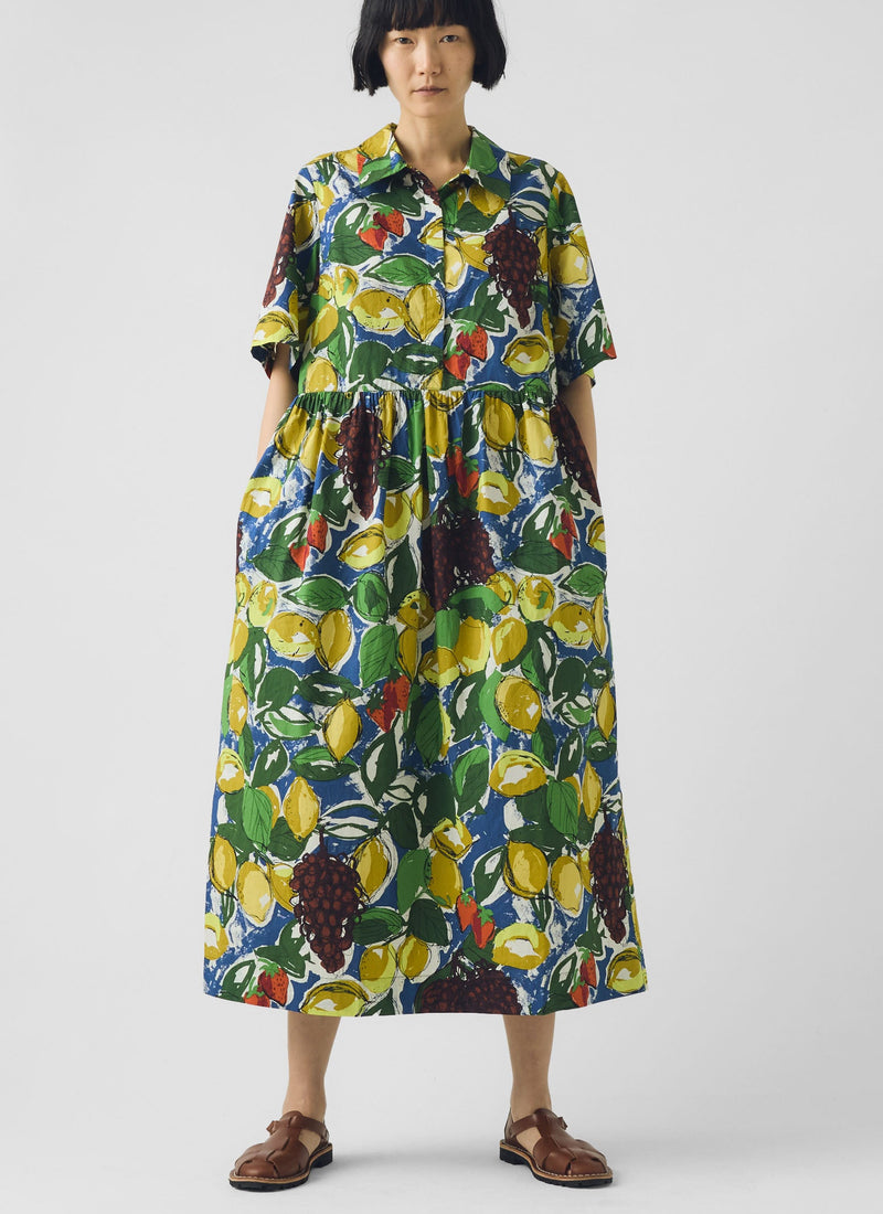 Selma Sketched Fruit Print Shirt Dress
