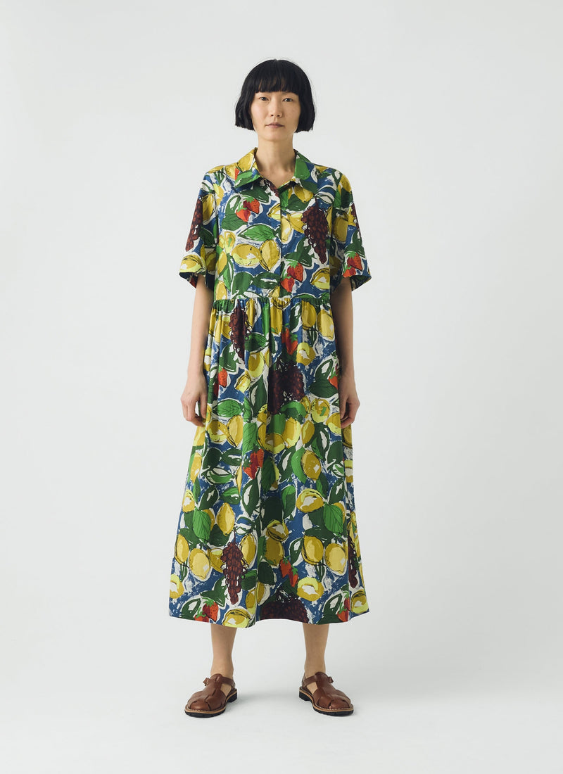 Selma Sketched Fruit Print Shirt Dress