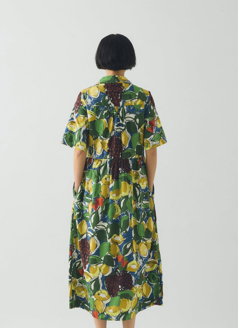 Selma Sketched Fruit Print Shirt Dress
