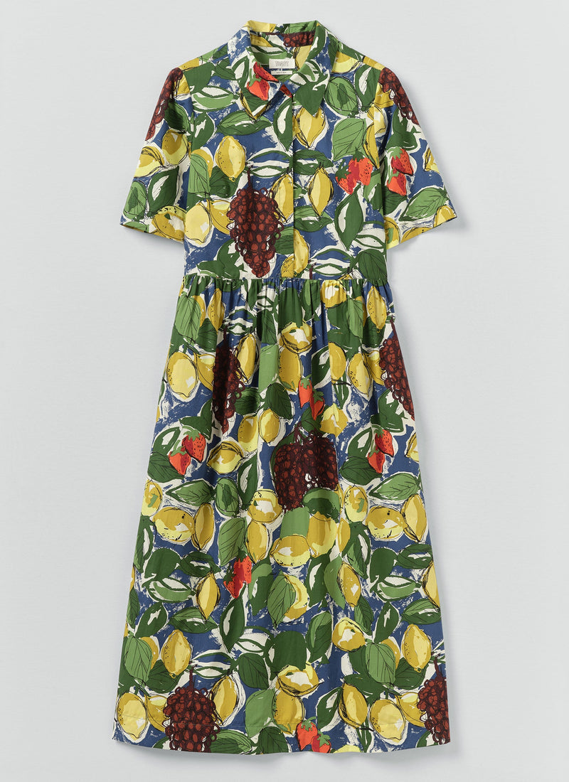Selma Sketched Fruit Print Shirt Dress