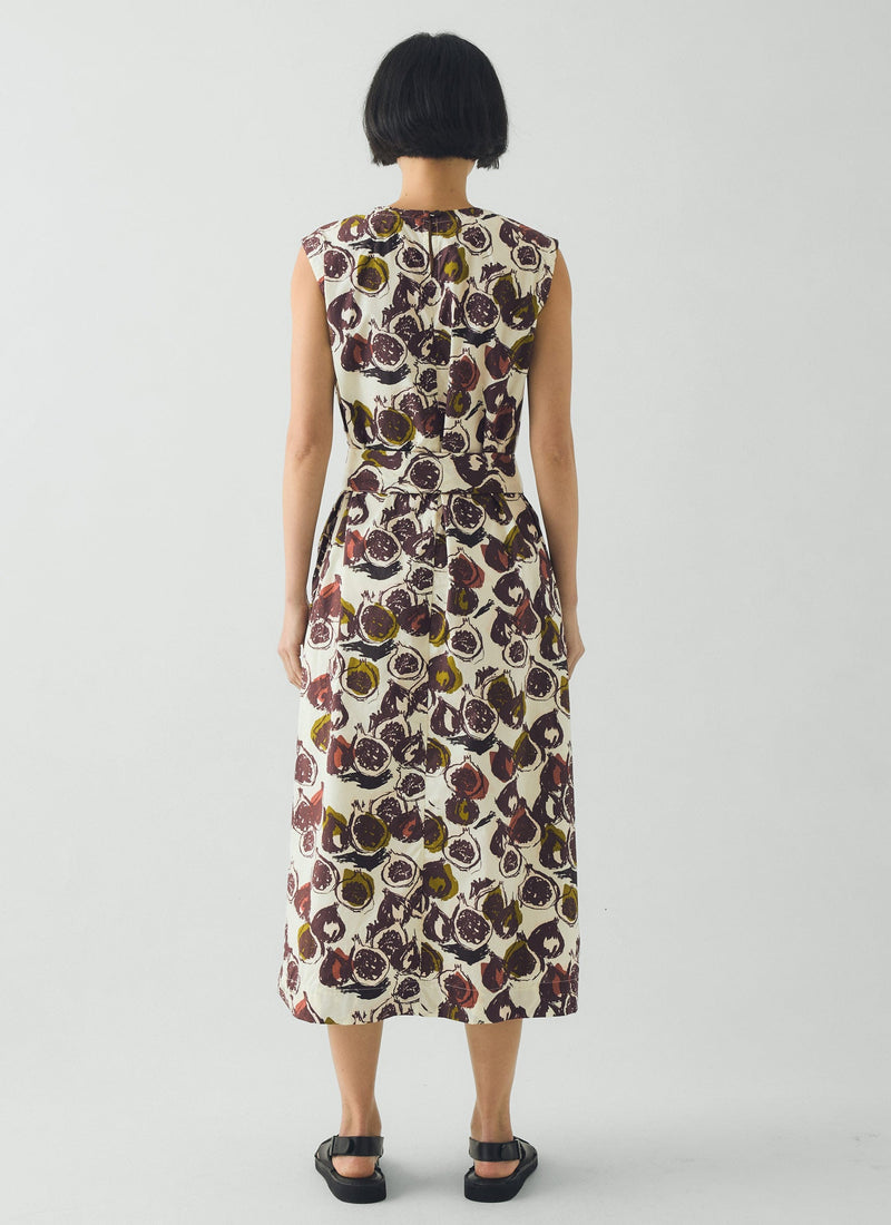 Fig Print Cotton Poplin Dress | Chalk