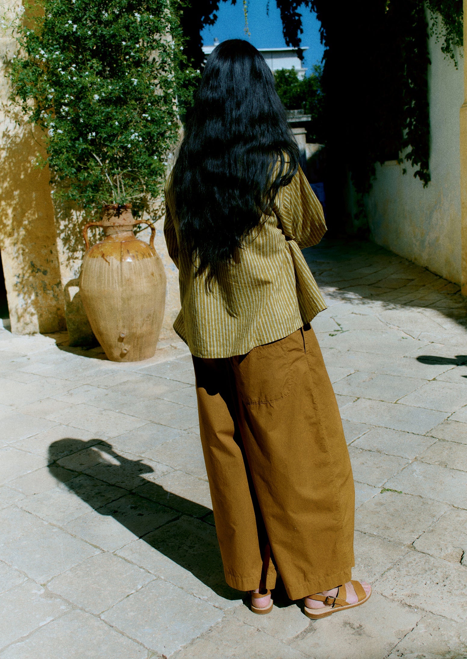 Pleated Pull On Cotton Poplin Pants | Dhal | TOAST